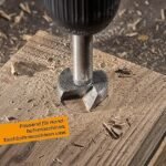 Brocas Forstner Hinrichs 6